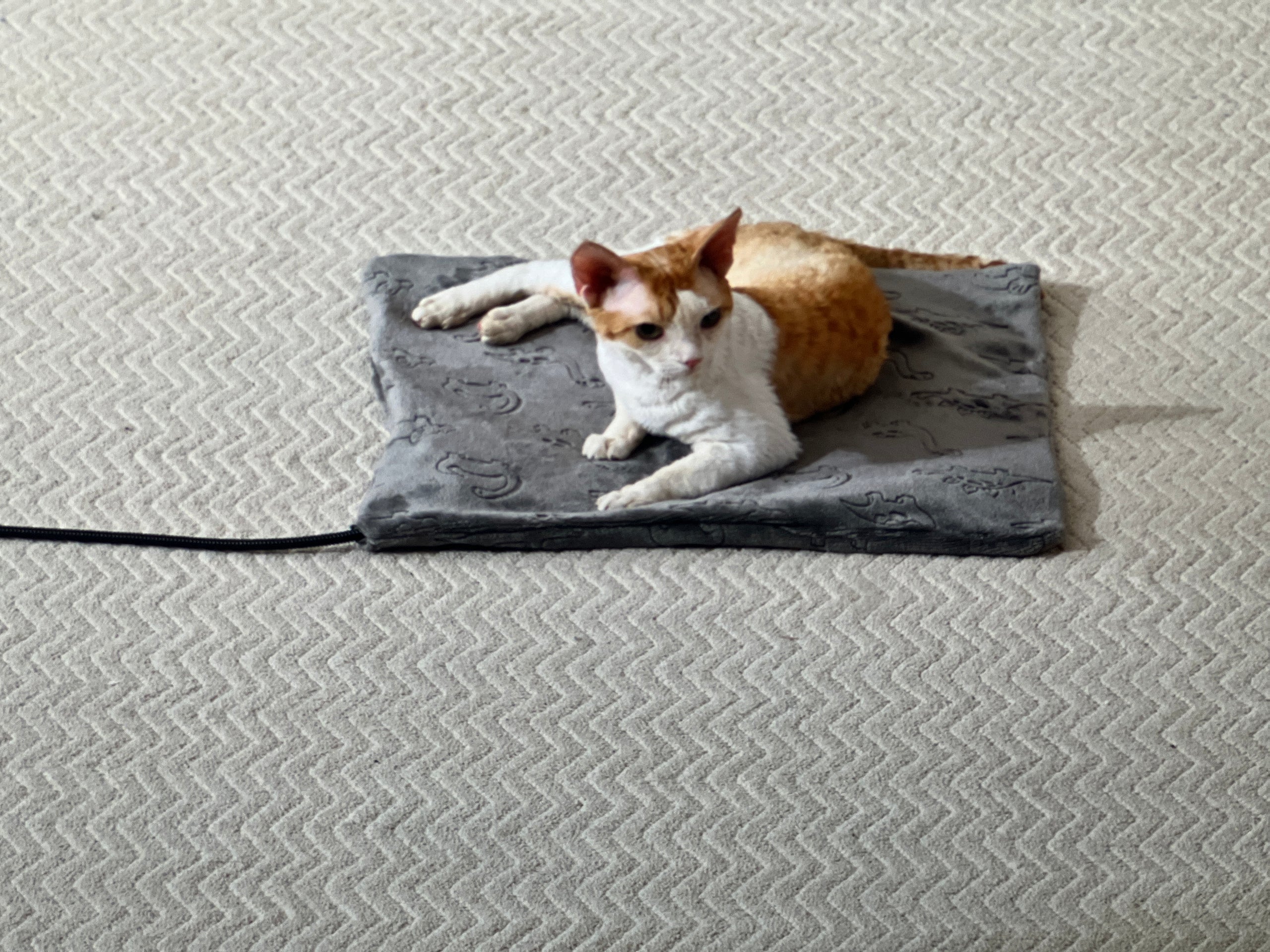 FANTICO Waterproof Pet Heating Pad for Cats and Dogs, 18 x 18 in