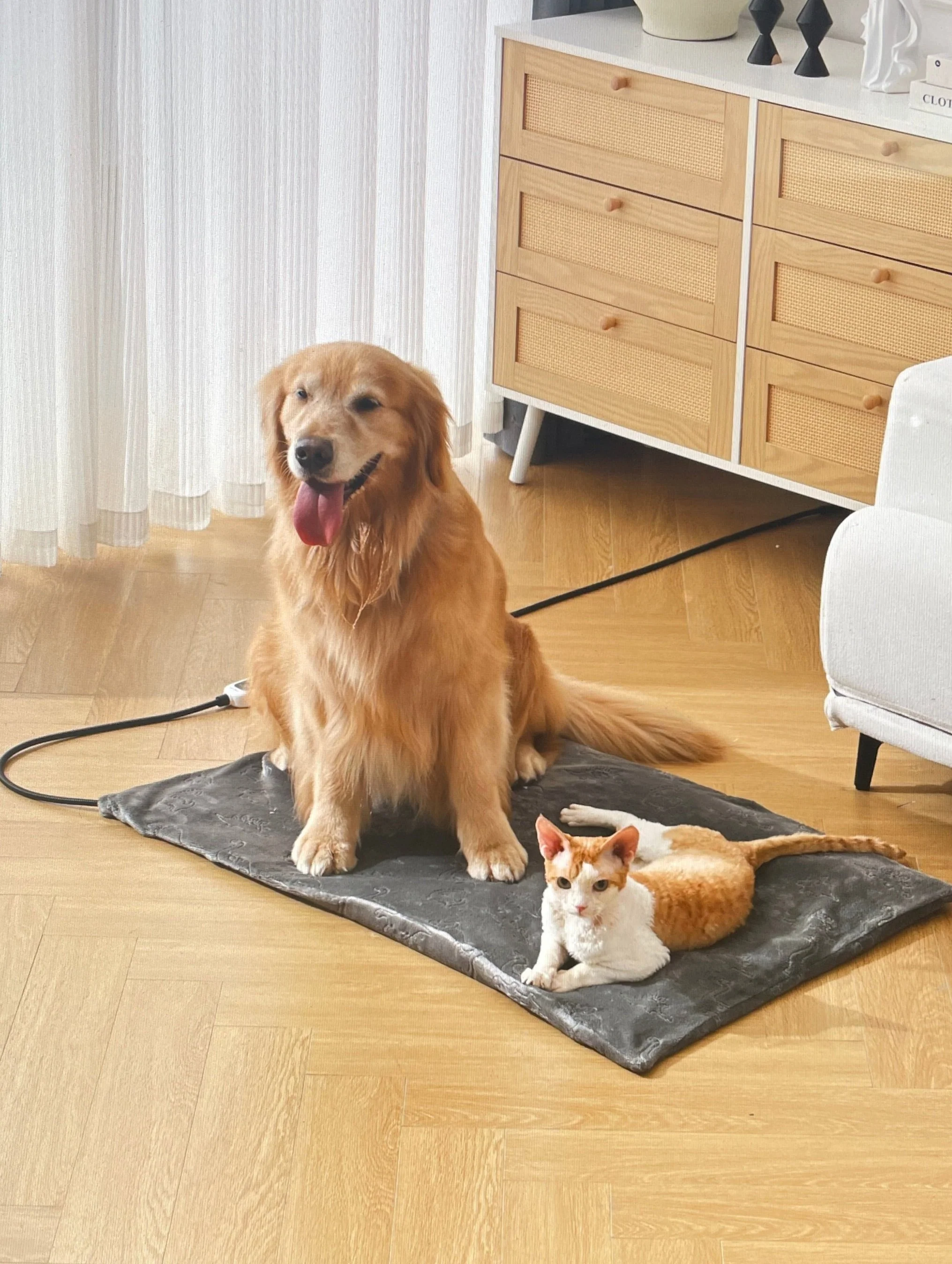 FANTICO Waterproof Pet Heating Pad for Cats and Dogs, 18 x 18 in