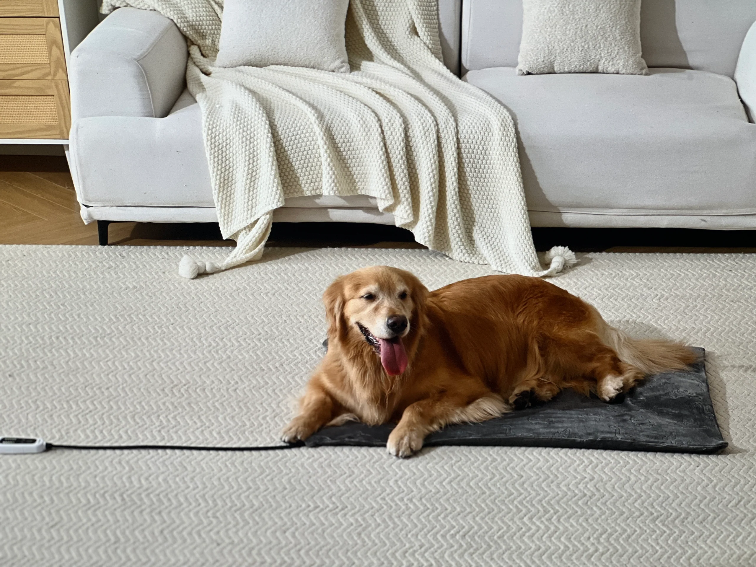 FANTICO Waterproof Pet Heating Pad for Cats and Dogs, 18 x 18 in